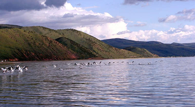 A view of Bear Lake