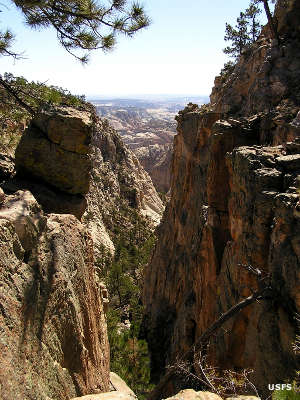 Looking down into a steep-sided narrow canyon in Box-Death Hollow Wilderness