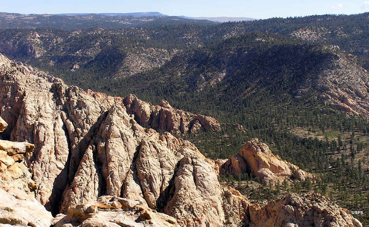 Looking down into a broad canyon with forested bottom and hills on the other side