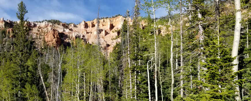 Looking up at the Pink Cliffs in Ashdown Gorge Wilderness