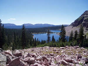 Down in Naturalist Basin
