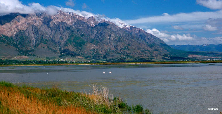 The view east at Bear River Migratory Bird Refuge