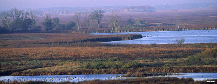 A view of the adjacent Horicon Marsh State Wildlife Area Horicon Marsh State Wildlife Area
