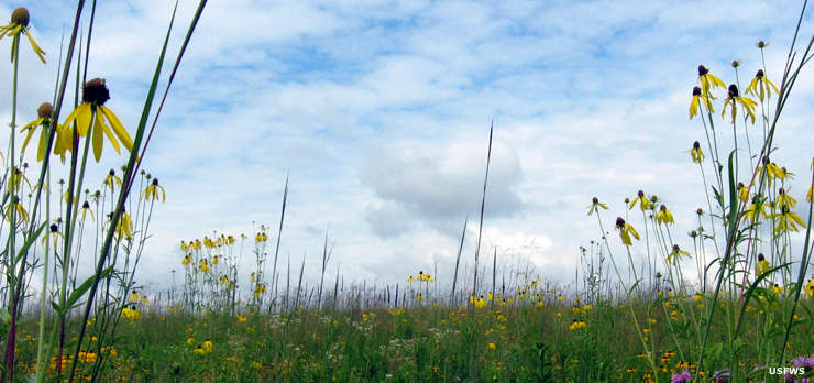 St. Croix Wetland Management District