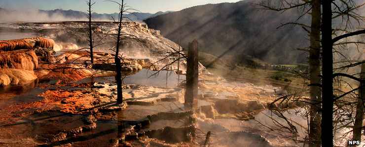 Looking across a hot springs terrace near Mammoth Springs in Yellowstone National Park