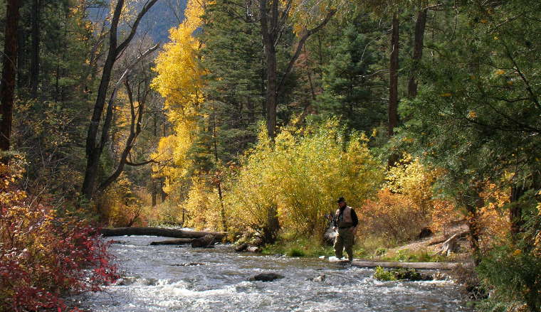 Medicine Bow National Forest: Fisherman in the forest Fisherman in Medicine Bow National Forest