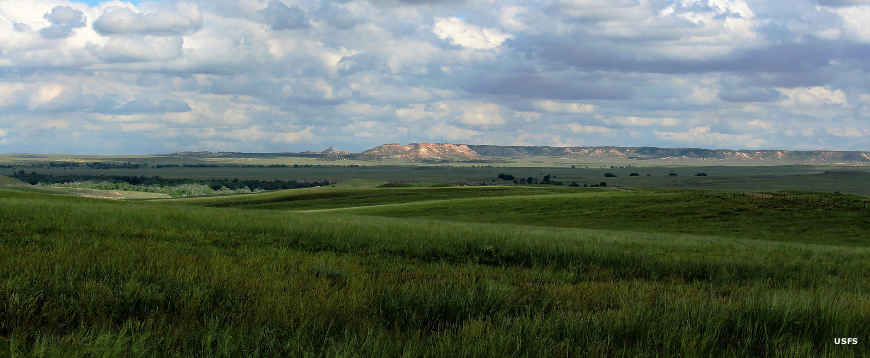 A typical view on Thunder Basin National Grassland