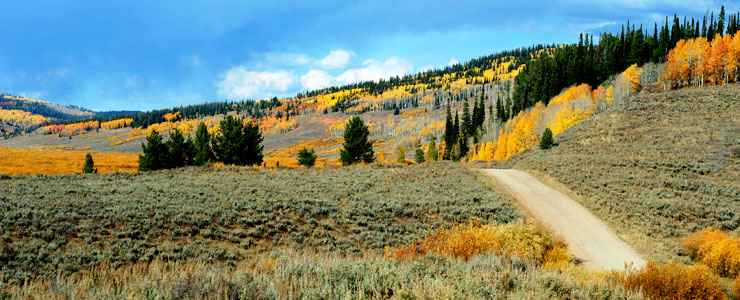 Along the Big Spring Scenic Backway in the fall