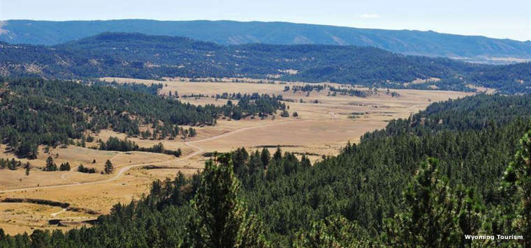 A view in the Black Hills of Wyoming