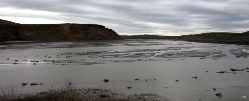 A view of one of the feeder streams near the northern end of the reservoir