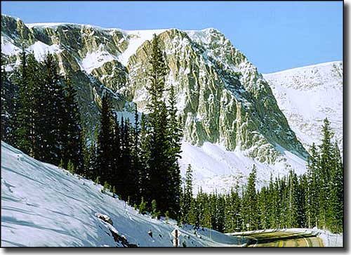 In the Snowy Range