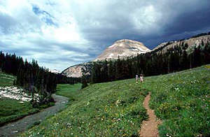 A view in Gros Ventre Wilderness Gros Ventre Wilderness