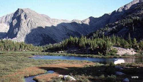 Popo Agie Wilderness: A typical view in the wilderness area Typical view in Popo Agie Wilderness