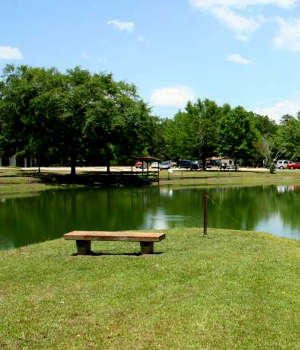 At Blue Springs State Park near Clio