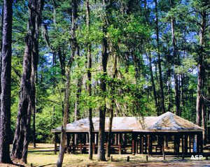 The picnic area at Bladon Springs State Park