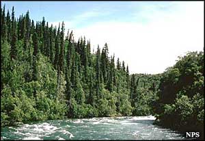 Rapids on the Alagnak Wild River