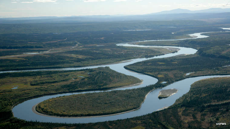 Confluence of the Alatna River with the Koyukyk River