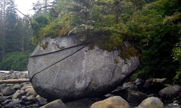 A moss-covered boulder at Warren Island Wilderness
