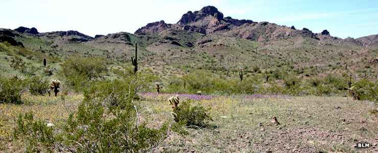 Signal Mountain, a volcanic plug in Signal Mountain Wilderness