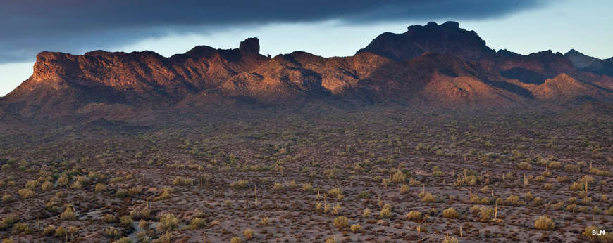 Eagletail Mountains Wilderness
