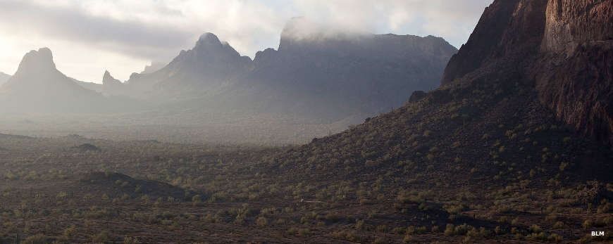 Typical vegetation and rock formations in the Eagletail Mountains Wilderness