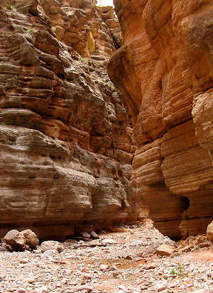 At the mpouth of a slot canyon in Kanab Creek Wilderness
