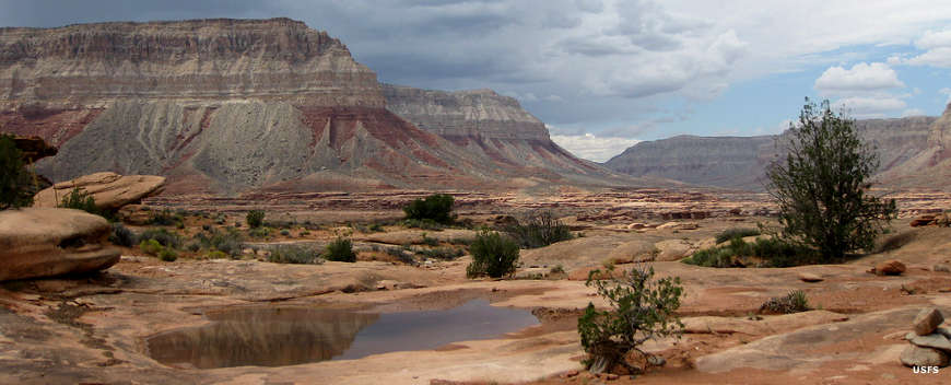 A view across the canyon floor down in Kanab Creek Wilderness