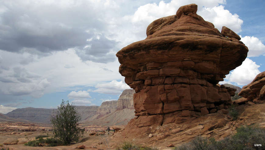 Kanab Creek Wilderness: Kanab Creek Canyon A balanced boulder in the bottom of Kanab Creek Canyon