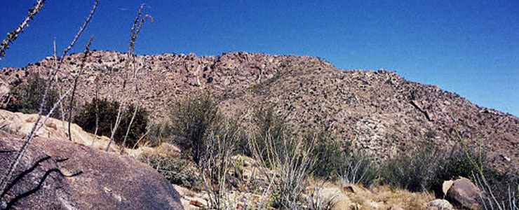 A typical view in Castle Creek Wilderness