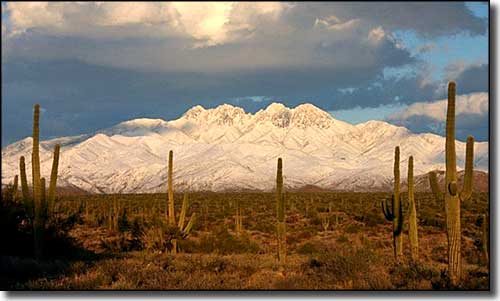 Snow on Four Peaks Wilderness