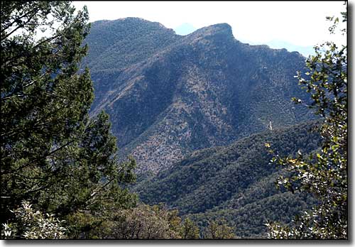 Miller Peak Wilderness