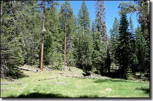 Along Bear Wallow Creek in Bear Wallow Wilderness