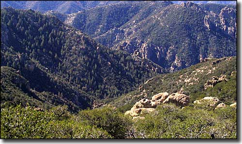 Galiuro Wilderness