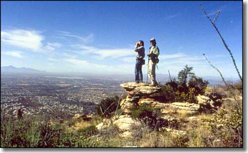 Hikers on Pusch Ridge Wilderness enjoying the view over Tucson