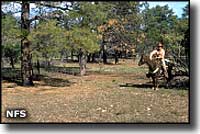 Juniper Mesa Wilderness