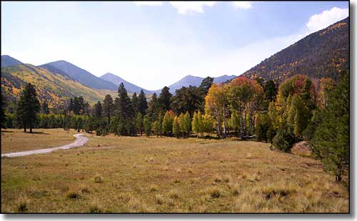 Lockett Meadow, in the Inner Basin of Kachina Peaks Wilderness