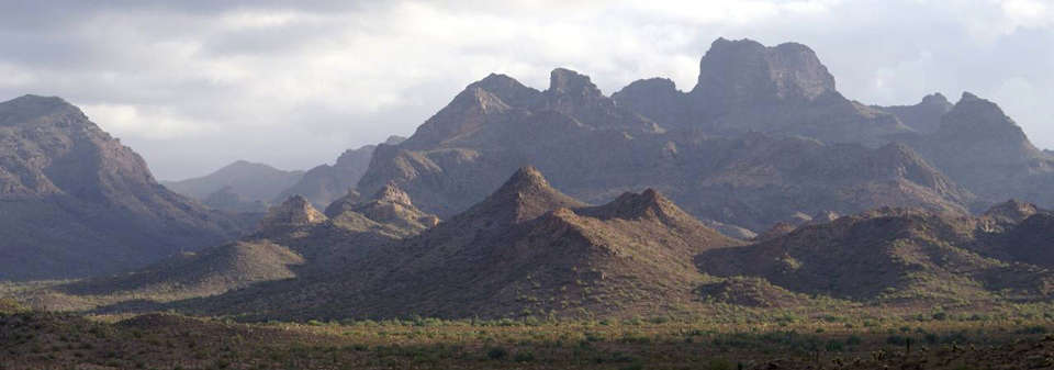 Looking across the desert to the Bates Mountains in Organ Pipe Cactus National Wilderness Area