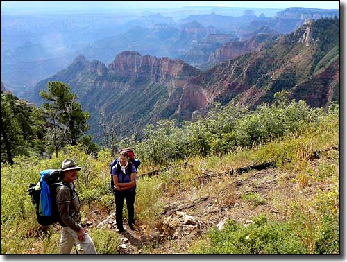Looking southeast from Saddle Mountain Wilderness