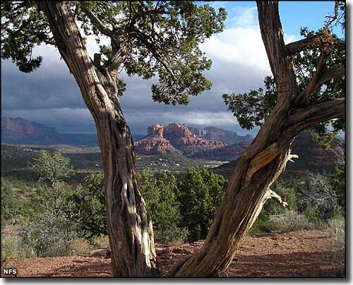 Red Rock-Secret Mountain Wilderness