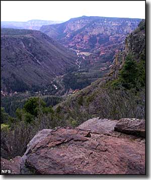 A trail above Oak Creek Canyon, on the edge of Red Rock-Secret Mountain Wilderness