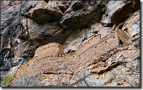 A Salado ruin on a cliff wall in Sierra Ancha Wilderness