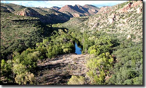 Sycamore Creek in the bottom of Sycamore Canyon Wilderness