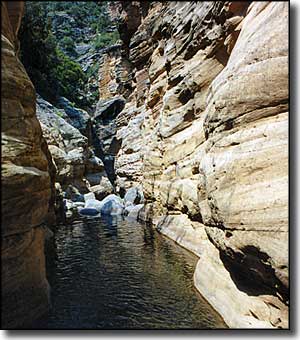 West Clear Creek Wilderness