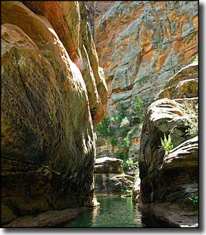 Wet Beaver Wilderness