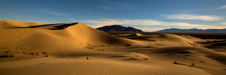 Cadiz Sand Dunes