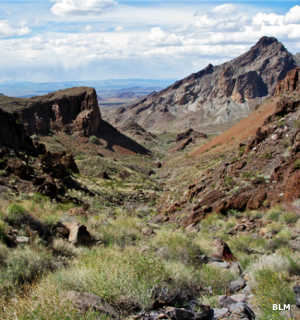 Turtle Mountains Wilderness National Wilderness Areas