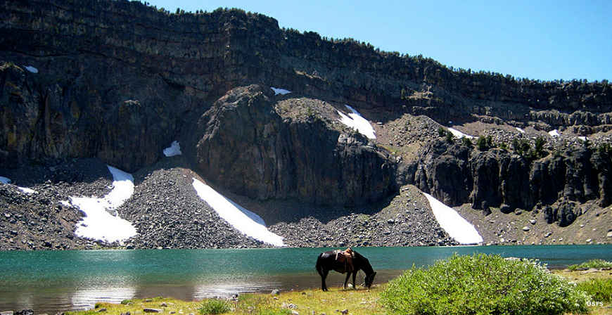 Wetlands high in Modoc National Forest