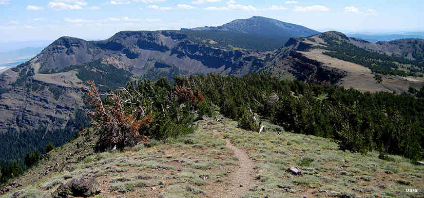 The Summit Trail in Modoc National Forest