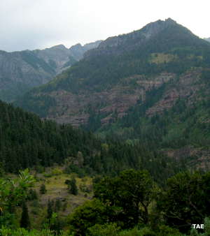 Typical view in the mountains of San Juan National Forest