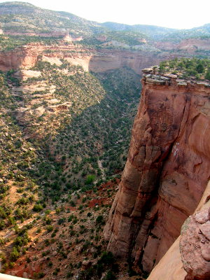 A view in Colorado National Monument Among the sandstone formations at Colorado National Monument